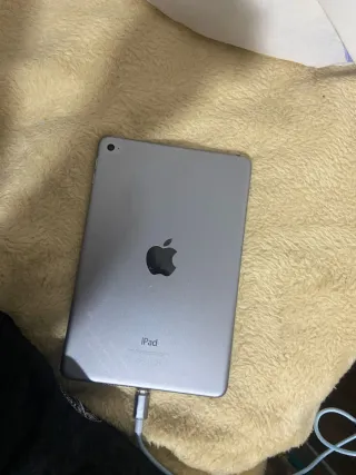 iPad Mini 4 Plata