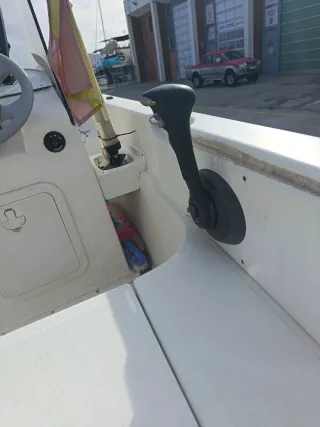 Motor fueraborda Mercury 40 HP