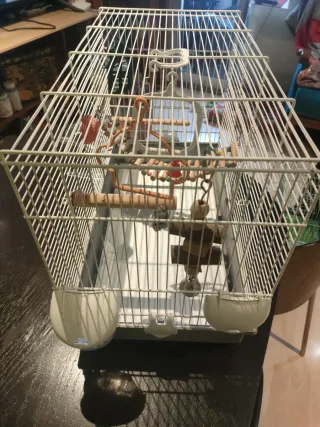 Gabbia per uccelli bianca e grigia