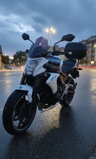 Kawasaki ER-6N 650 cc