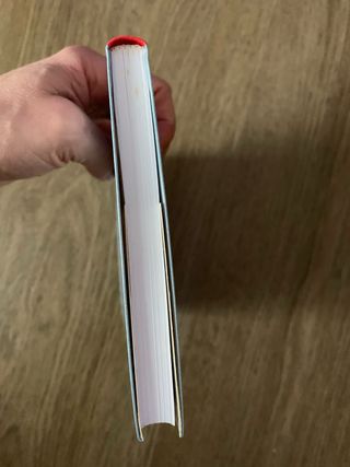 ROLLERCOASTERS:BOY IN STRIPED RDR