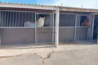 Casa rural en venta en Monóvar/Monòver