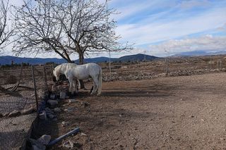 Casa rural en venta en Monóvar/Monòver