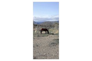 Casa rural en venta en Monóvar/Monòver