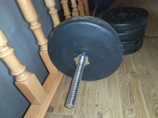 Barra de gimnasio con discos