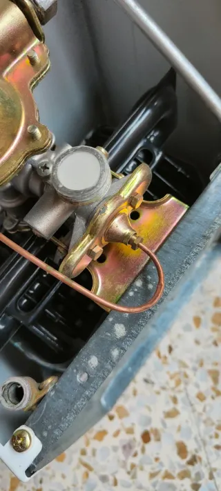 Calentador de agua a gas Lynx