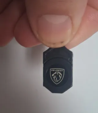 Luces Cortesía Peugeot Proyector Logo