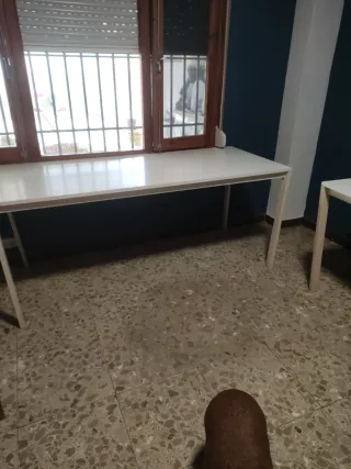 Tavolo bianco multiuso in formica