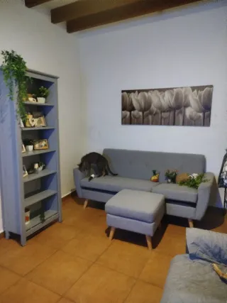 Sofá 3 plazas estilo retro gris