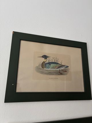 Cuadros de patos decorativos