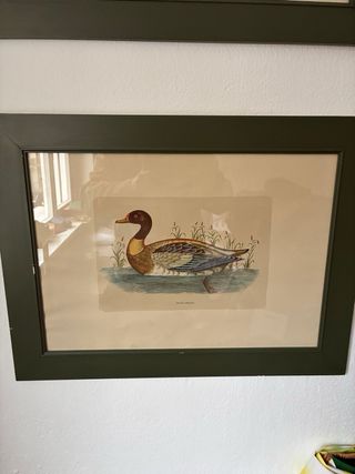 Cuadros de patos decorativos