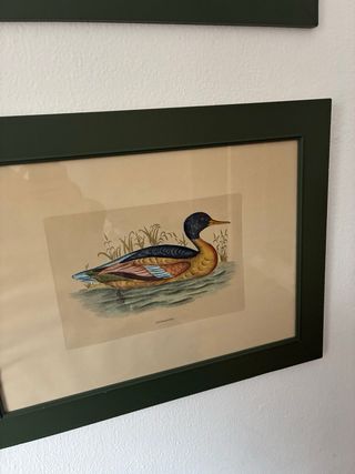 Cuadros de patos decorativos