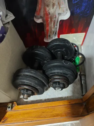 Banco de pesas y mancuernas