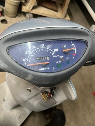 Honda Scoopy 50cc Scooter  80cc