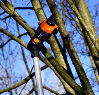 Podadora de altura WORX 20V WG349E.9 (2 en 1)