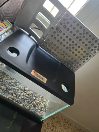 Acquario mini completo