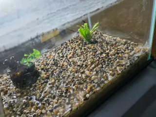 Acquario mini completo