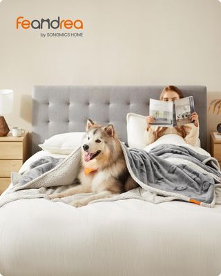 Manta Feandrea Perro Impermeable Gris