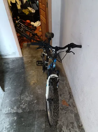 Bicicleta de montaña