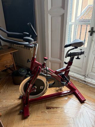 Bicicleta Estática Profesional BH