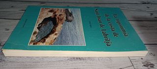 La Toponímia de la Costa de Sant Joan de Labritja