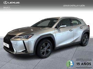Lexus UX 250H BUSSINES 2WD