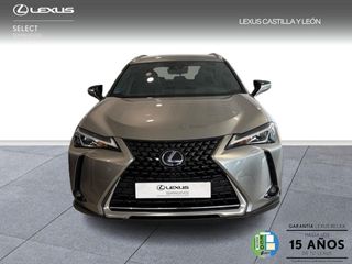 Lexus UX 250H BUSSINES 2WD