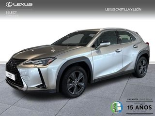 Lexus UX 2WD BUSINESS