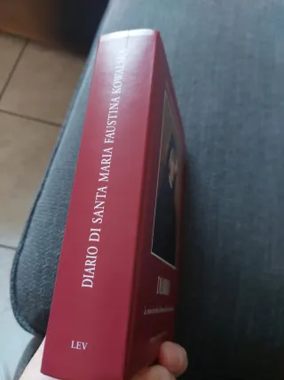 Diario. La misericordia divina nella mia anima