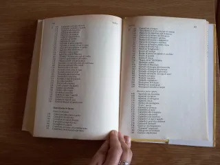 500 Ricette Di Pasta Fresca