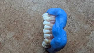 Tipodonto Dientes Naturales