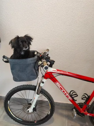 Bolsa para bicicleta 21 litros