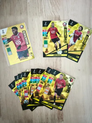 Lote Panini Adrenalyn Ligue 1 24/25