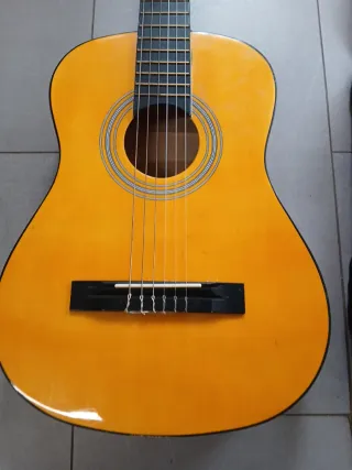 Guitarra acústica con funda