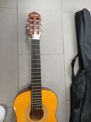 Guitarra acústica con funda