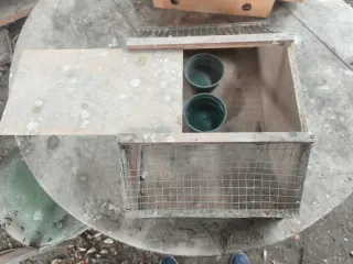 Transportín Codornices