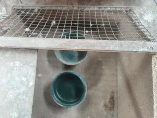 Transportín Codornices