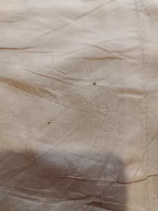 Cerruti 1881 Blazer Lana Beige M