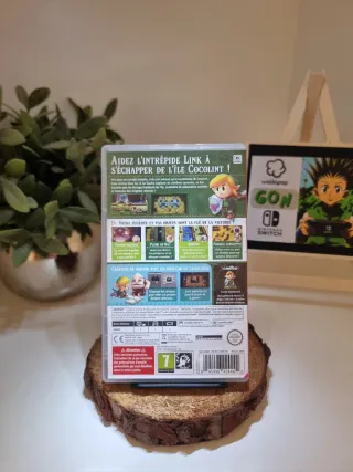 Zelda Link's Awakening Nintendo Switch