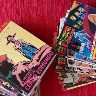 Lote el vibora 15 numeros reservados