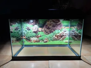 Acuario 68L Pecera Cristal y Plástico