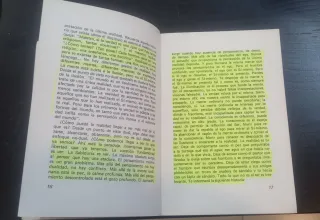 Raman Maharshi el Maestro Perfecto