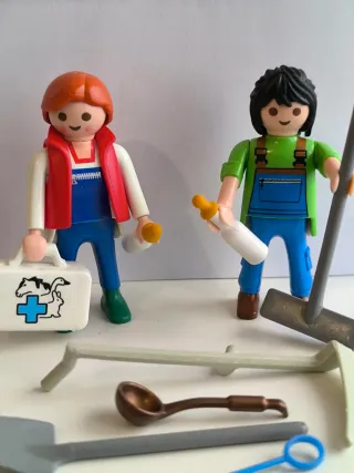 Playmobil veterinaria con accesorios