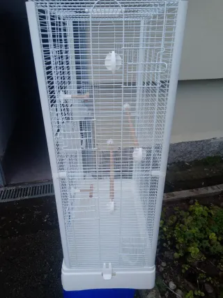 Gabbia per uccelli bianca