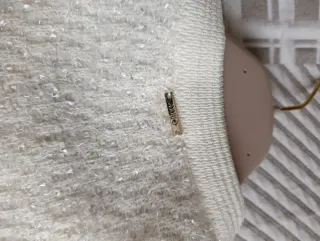 Liu Jo Maglione Donna Bianco