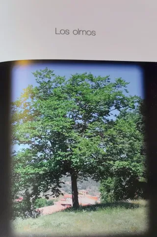 Beamud: recuerdo y realidad