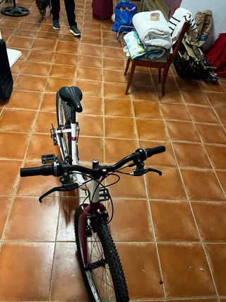 Bicicleta infantil Denbike 24