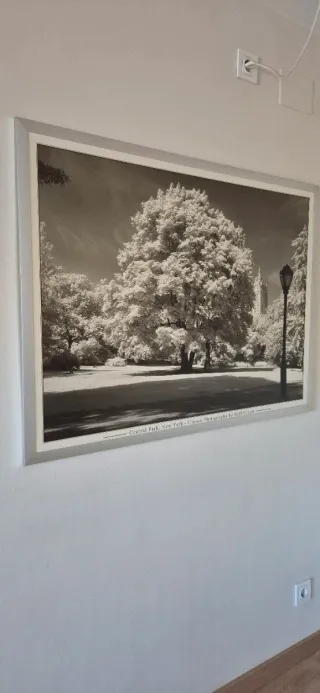 Cuadro paisaje blanco y negro