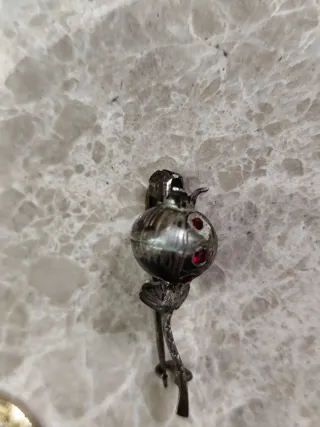 Antiguo broche plata