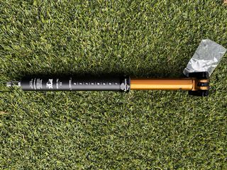 Tija Fox Transfer Kashima 31.6